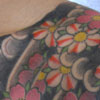 the japanese tattoo