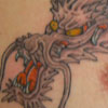 the japanese tattoo